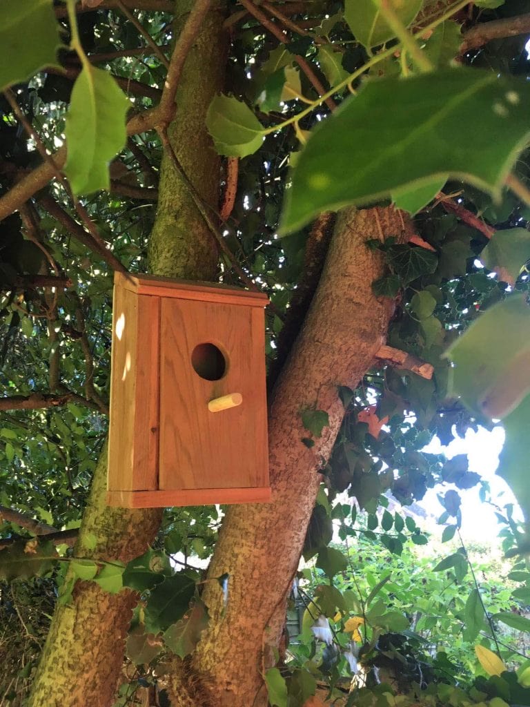 ECO Bird Box